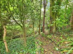 Images for Bank Edge, The Bank, Shearsby, Lutterworth, Leicestershire