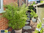 Images for Overdale Road, Leicester, Leicestershire