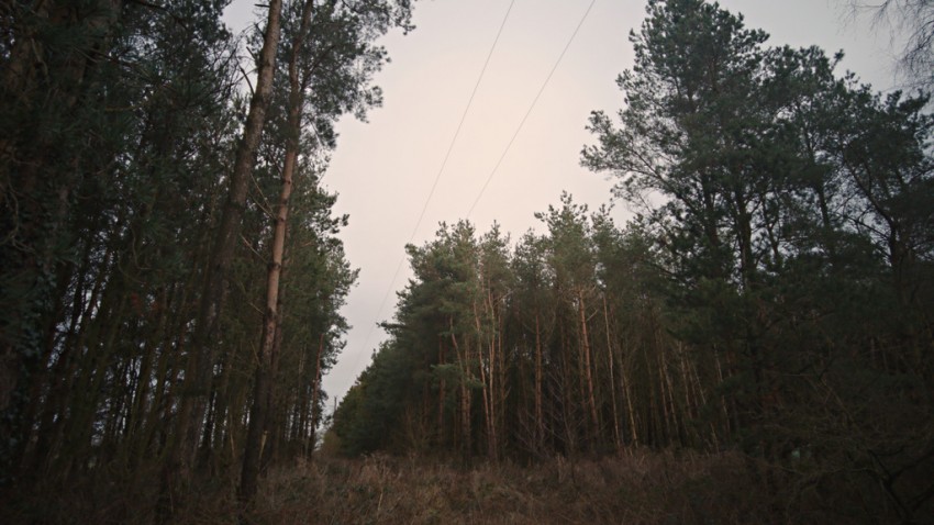 Images for Land lying to the west of Moss Lane, Holme