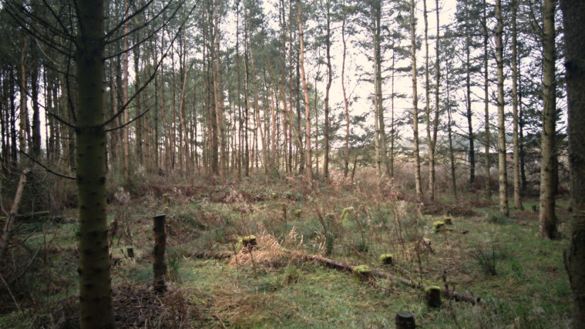 Images for Land lying to the west of Moss Lane, Holme